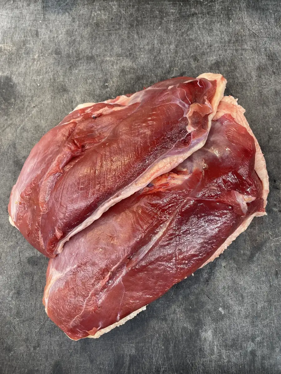 Filet de canard