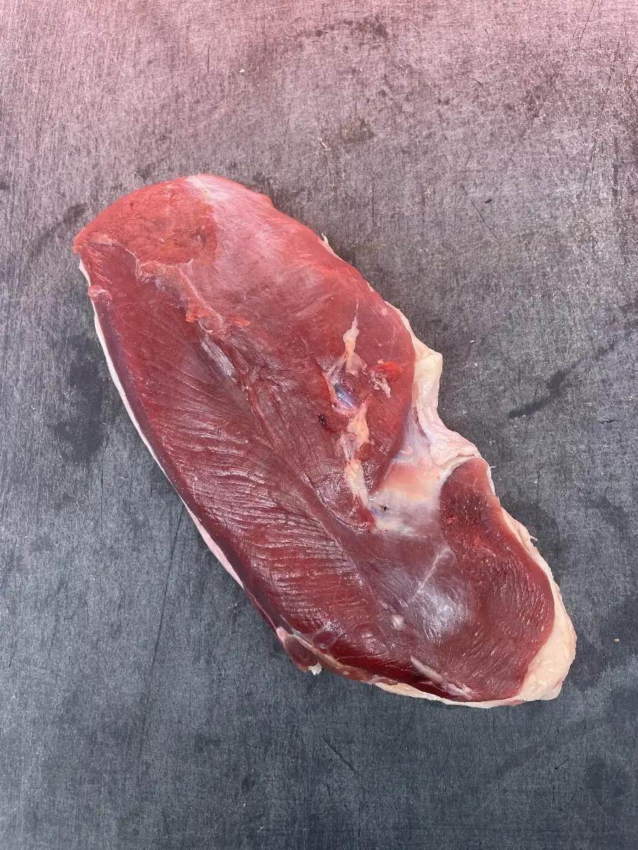 Magret de canard